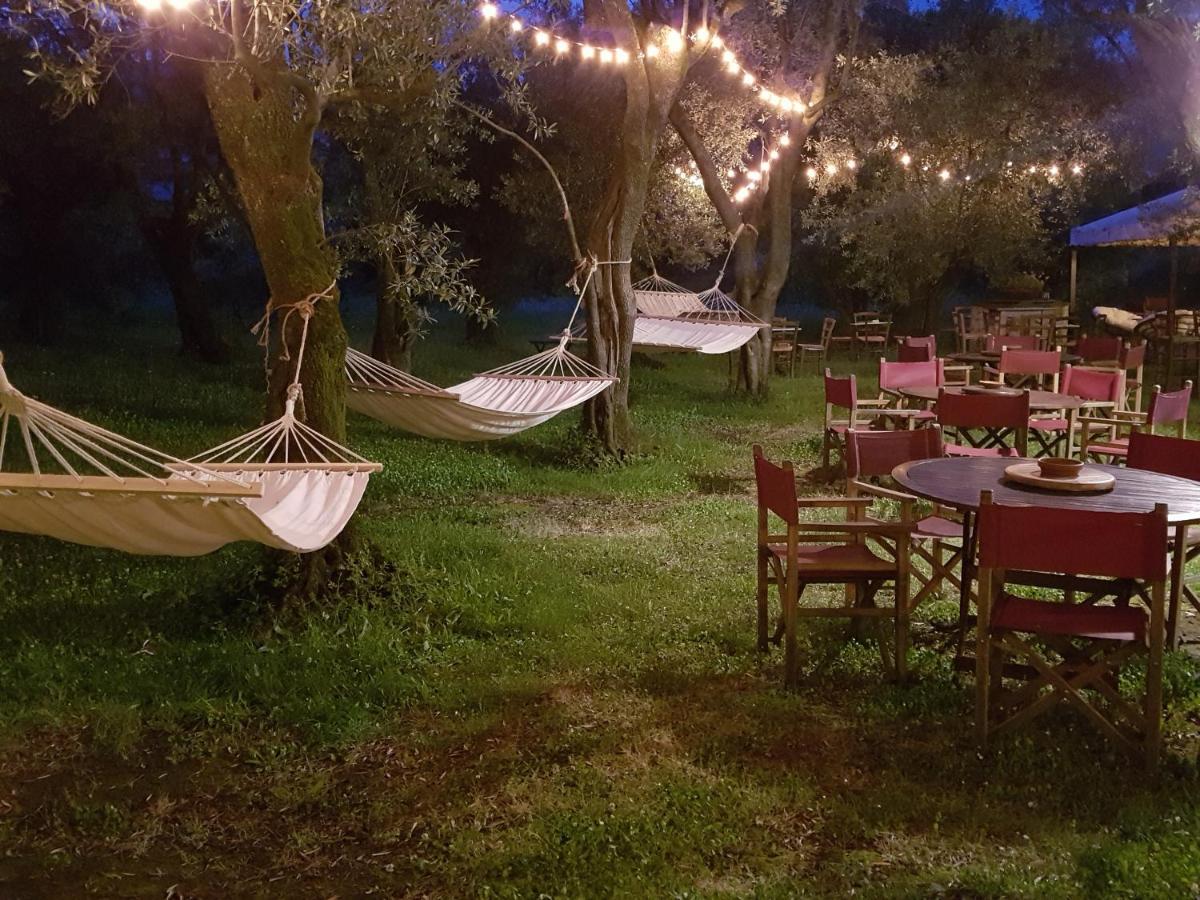 Antico Uliveto Guest House Seravezza Eksteriør bilde