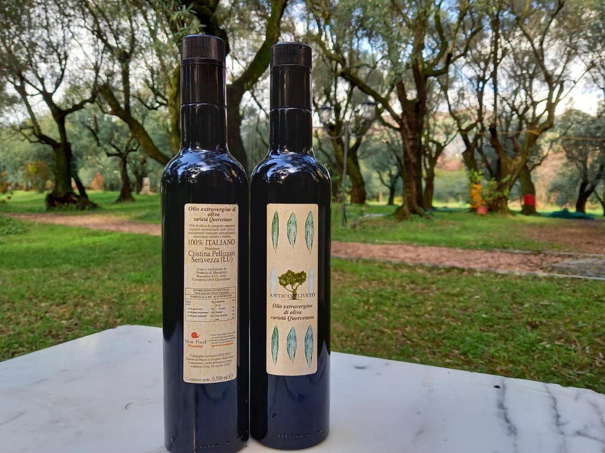 Antico Uliveto Guest House Seravezza Eksteriør bilde