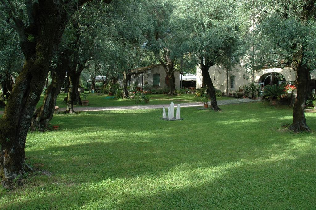 Antico Uliveto Guest House Seravezza Eksteriør bilde