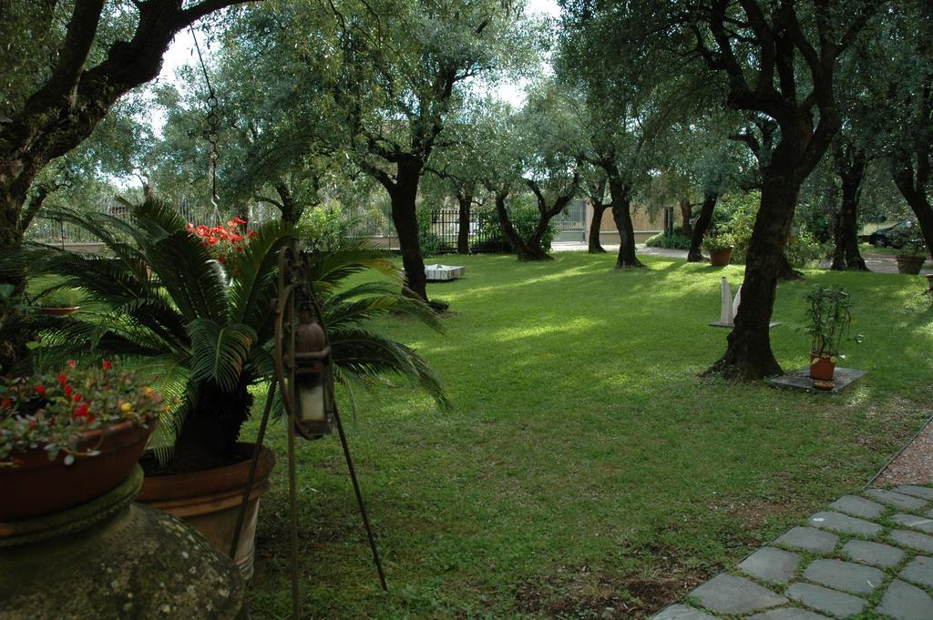 Antico Uliveto Guest House Seravezza Eksteriør bilde