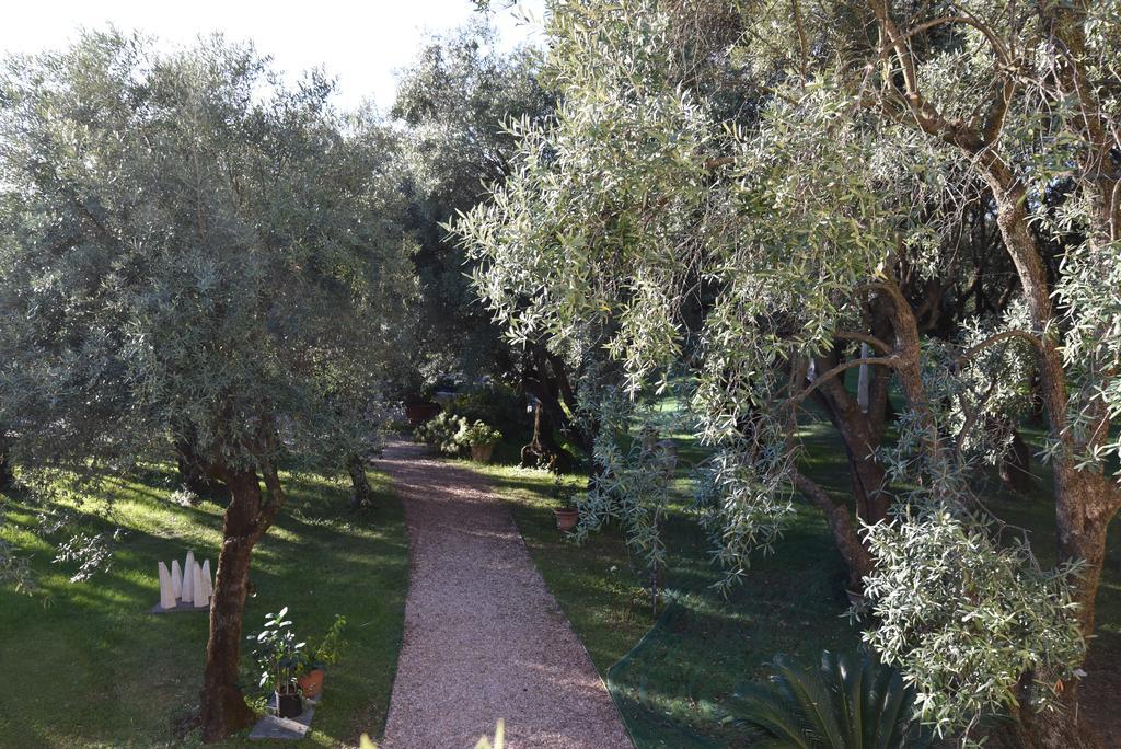 Antico Uliveto Guest House Seravezza Eksteriør bilde
