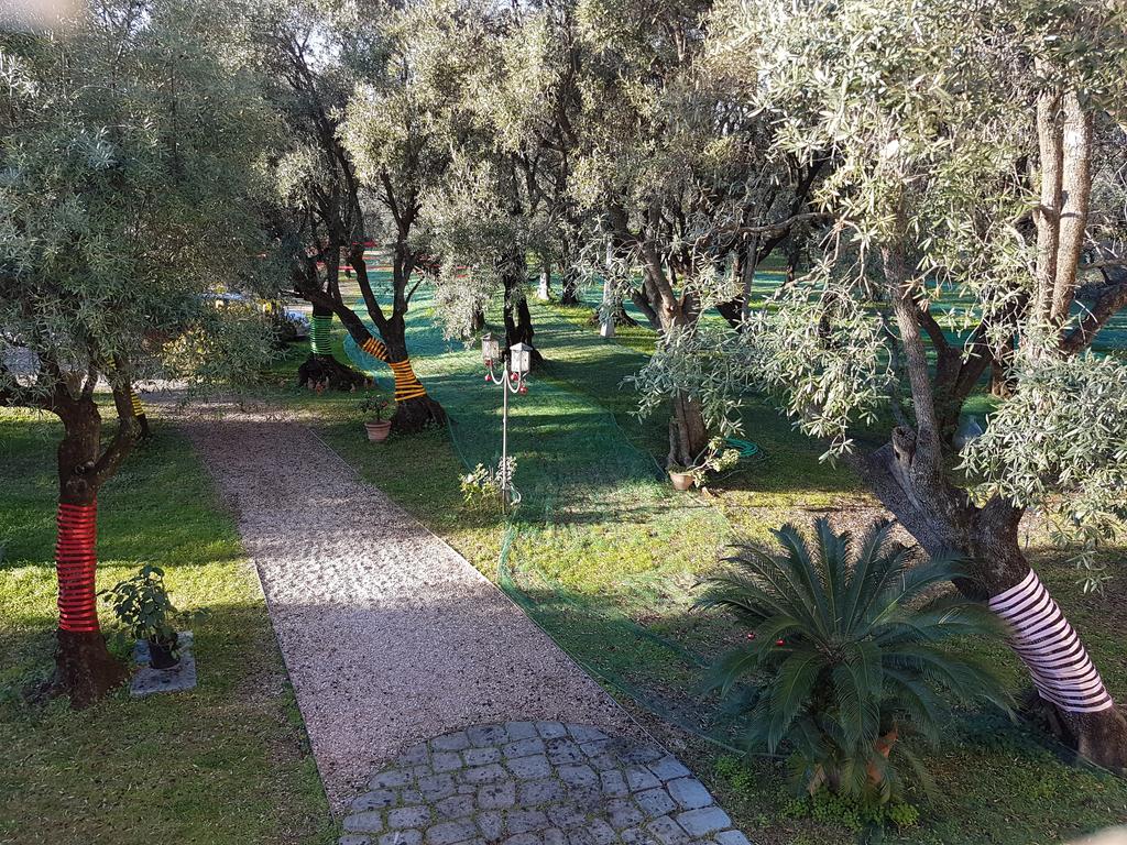 Antico Uliveto Guest House Seravezza Eksteriør bilde