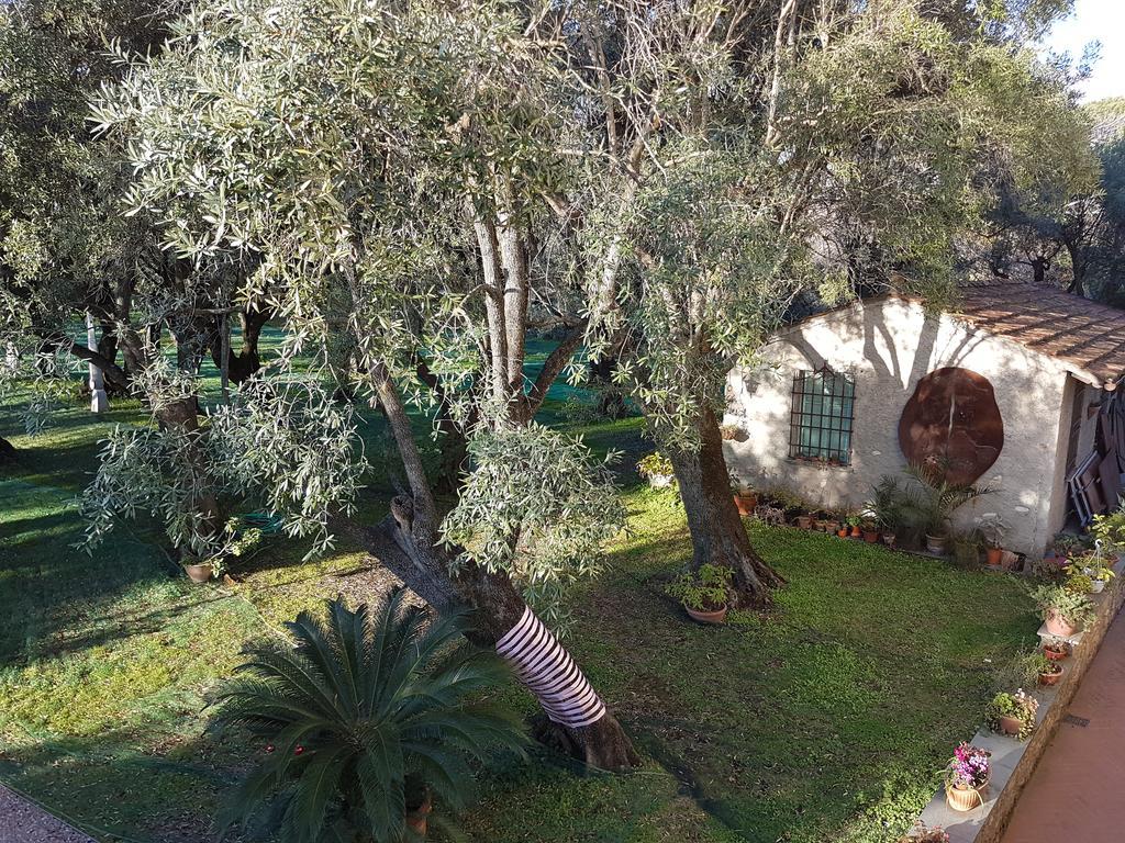 Antico Uliveto Guest House Seravezza Eksteriør bilde