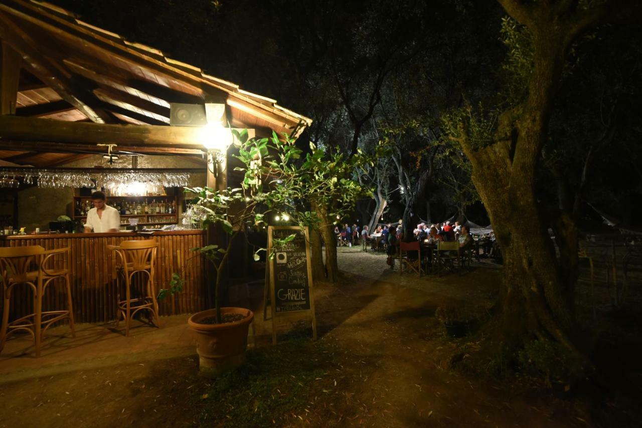 Antico Uliveto Guest House Seravezza Eksteriør bilde