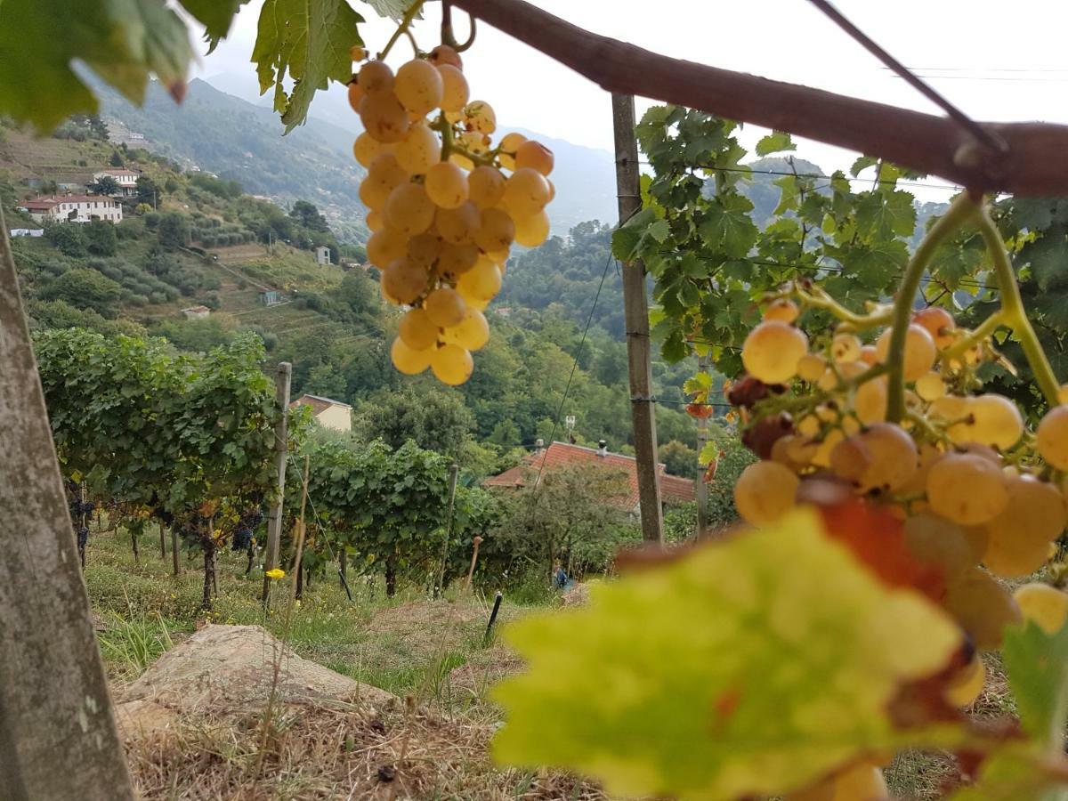 Antico Uliveto Guest House Seravezza Eksteriør bilde